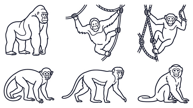 Monkeys and apes line icons set with various species and poses like swinging and sitting.