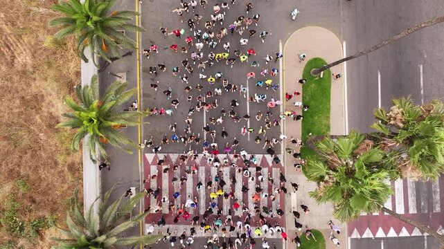 Crowd of Runners in a Road Race as Drone Ascends From a Top-Down View