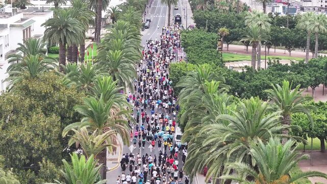 Large Crowd of Runners in an Urban Road Race Along a Palm-Lined Boulevard