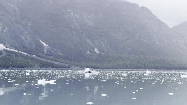 A dense field of brash ice spreads across gray water below fog
