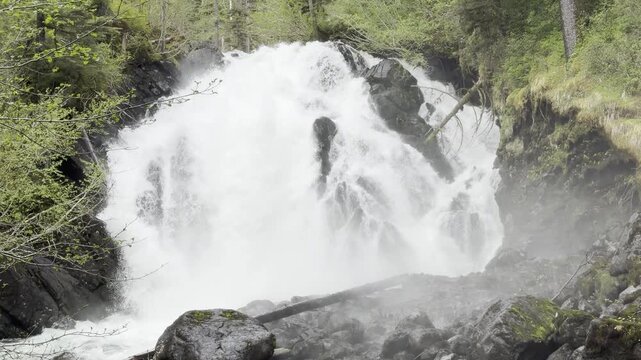 Tumbling water crashes into a tangle of boulders as spruce crowd in