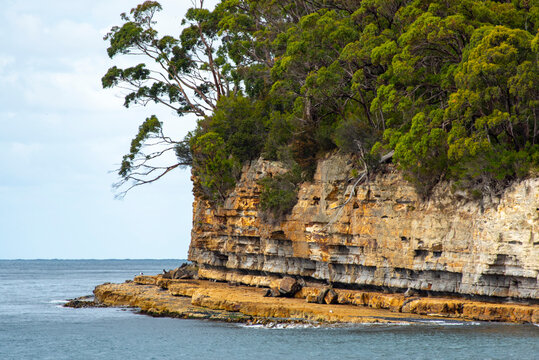 Dolerite Rock in Port Arthur - Tasmania