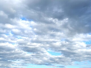 Obraz premium Dramatic gray cumulus clouds cover the blue sky, creating a textured cloudscape with natural light and changing weather conditions.