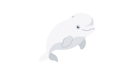 White Dolphin Swimming in Water. © Bris