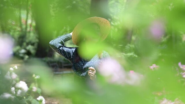 美しい花と緑の前ボケ越しに右ドリーで捉えた麦わら帽子の女性（初夏の庭園・木漏れ日）