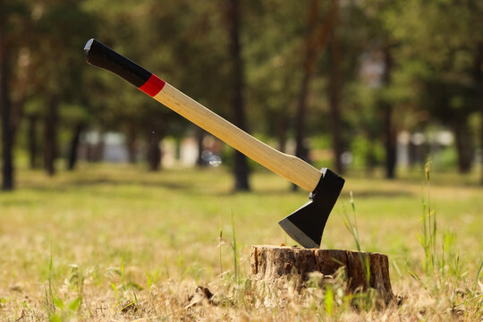 Axe stuck in tree stump in grassy field