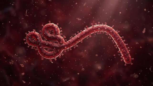 A captivating microscopic rendering of the Ebola filovirus, illustrating its distinct filamentous shape, twisting and looping in an elegant biological structure