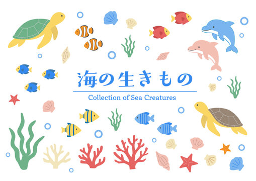 海の生き物アイコンセット　イラスト　フラットデザインのかわいい海洋生物イラストセット
コレクション