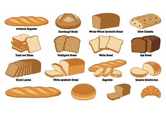 Artisan Bread Types Baguette Sourdough Ciabatta Rye Multigrain Brioche Croissant Labeled Cartoon Vector Illustration Set