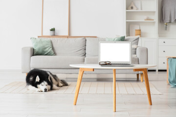 Laptop on coffee table with sleeping husky in living room © Pixel-Shot