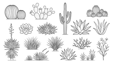 Vector line art collection of succulent plants and desert cacti symbols for architectural CAD blocks landscape design projects © Rishi