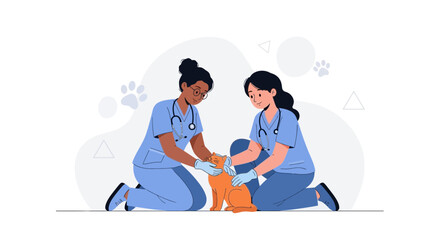 Obraz premium Veterinarians Examining Orange Cat with Stethoscopes - Vector Illustration