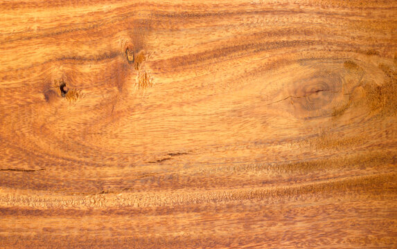 Dark brown wood grain interior design