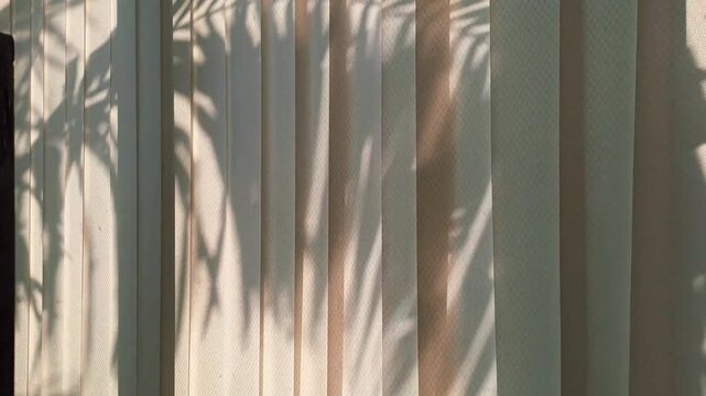 Cinematic palm leaf shadows dancing on library window blinds. Tropical silhouettes moving across curtains near bookshelves. Serene, sunlit indoor aesthetic with a cozy, poetic atmosphere. Evergreen.