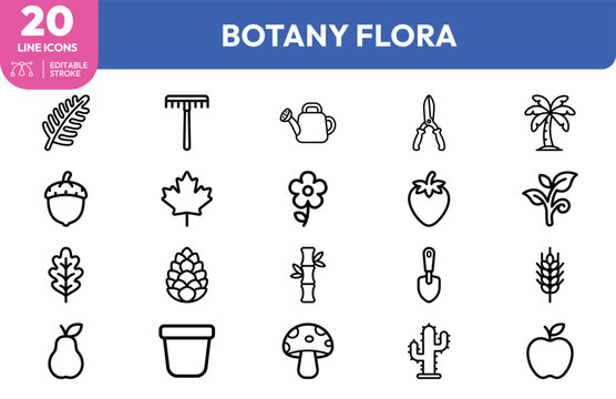 Botany Flora Icons. Containing acorn, pruning shears, watering can, palm tree, strawberry, maple leaf, cactus, pineapple, mushroom, flower pot. Editable stroke. Vector illustration.