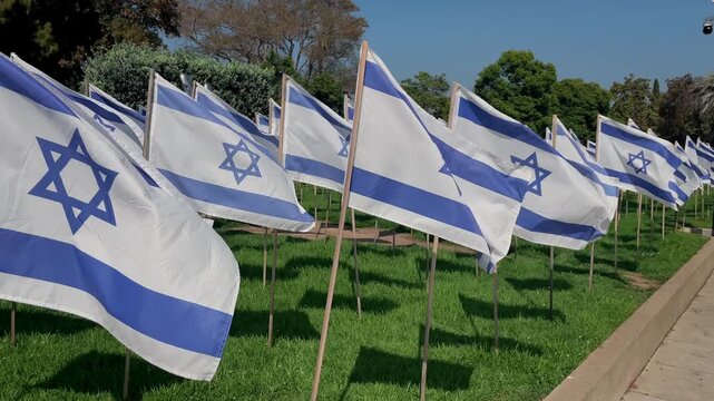 Handheld shot captures numerous Israel flags waving together in the breeze over a lush green field under a vivid blue sky, with trees lining the background in a scene of national symbolism and respect