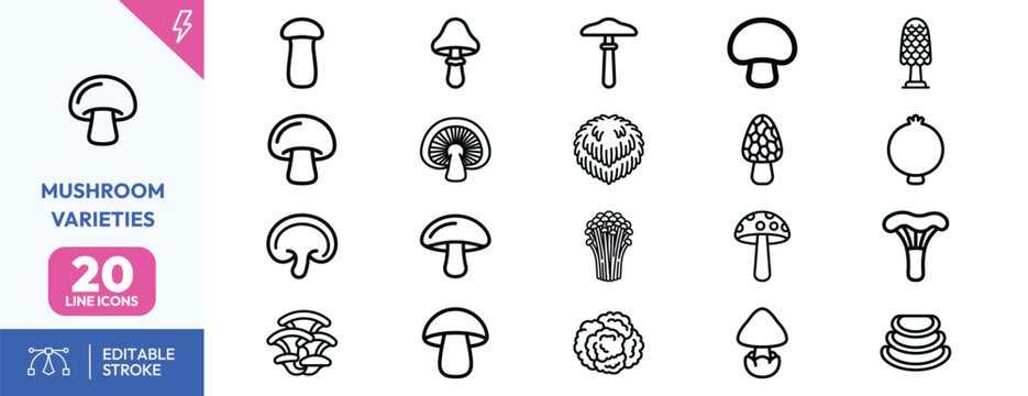 Fungal Forms icon set. Containing mushroom caps, gilled fungi, puffballs, coral fungi, forest mushrooms, stem variations. Editable stroke. Vector illustration.