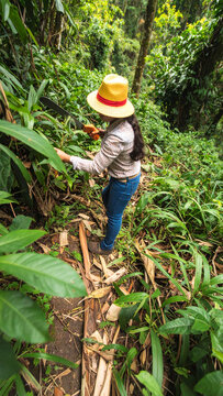 A young woman with a machete working in a lush green tropical forest