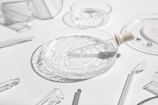 Petri dishes with different samples, professional glassware and pipette on white background
