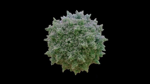 3D AAV-DJ Adeno-Associated Virus-DJ capsid 60-mer synthetic chimeric vector Replication-defective Non-pathogenic high liver hepatocyte tropism, primarily liver-directed disease hemophilia gene deliver