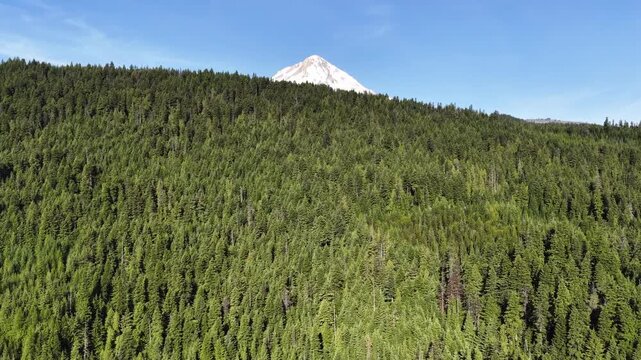 The iconic Mt. Hood is surrounded by national forest and spans all the way to the Columbia River Gorge in Oregon. This scenic and wild area, close to Portland, offers year-round recreation.