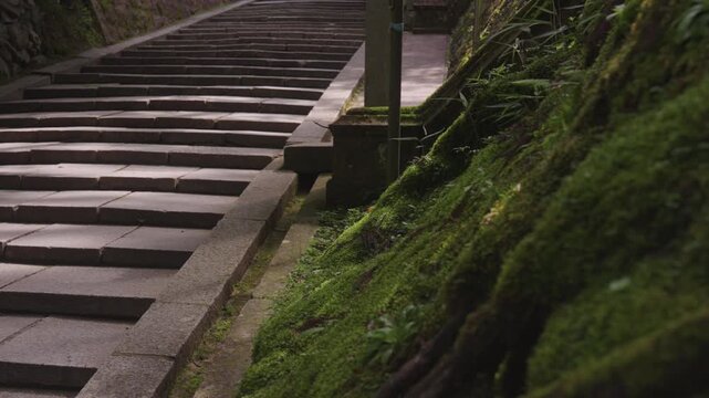 Early Morning at Sannenzaka, Okunoin &ndash; Koyasan, Wakayama, Japan　「早朝の高野山奥之院の三年坂」和歌山県高野町
