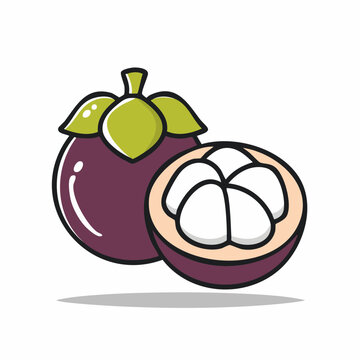 Whole and halved mangosteen fruit illustration