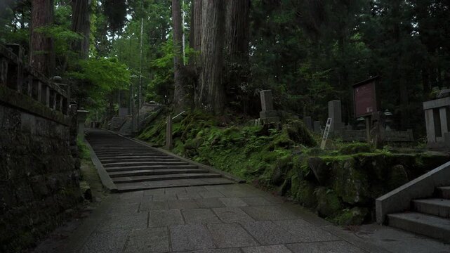Early Morning at Sannenzaka, Okunoin &ndash; Koyasan, Wakayama, Japan　「早朝の高野山奥之院の三年坂」和歌山県高野町