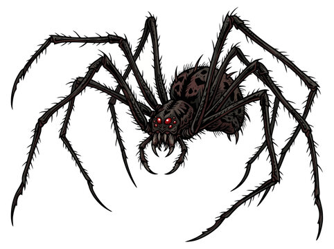 A detailed illustration of a menacing black spider with glowing red eyes.