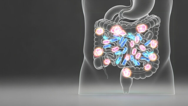 Microbiome health research gut bacteria illustration showing intestinal flora balance and glowing microbes in translucent torso promoting wellness
