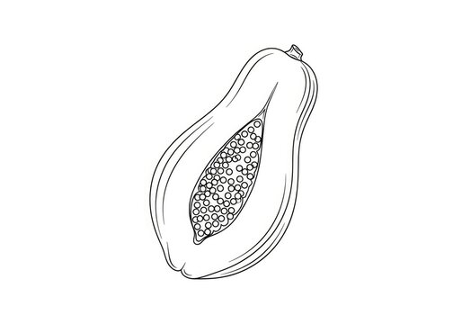A hand-drawn illustration depicts a papaya cut in half, revealing its black seeds. The papaya is shown in a simple, line-art style against a plain white background.