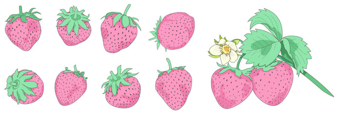 Cute pink strawberry vector clipart set. Pastel sweet berry illustration with soft green leaves and flowers. Aesthetic kawaii strawberry elements bundle for cafe menu, planner stickers, packaging © SommerWhispers