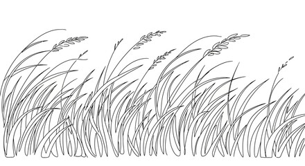 Waving Tall Grasses Under Wind - Hand Drawn Sketch © Vector