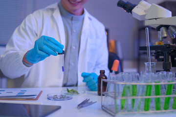 Fototapeta premium Scientist uses a dropper to apply a liquid sample to botanical specimens, combining chemical testing and plant research in a modern laboratory.