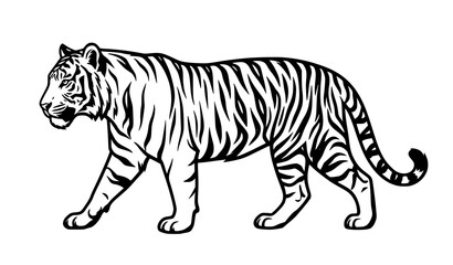 Fototapeta premium Majestic Walking Tiger Black and White Vector Illustration Wildlife Icon