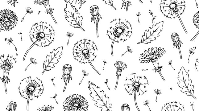Detailed black and white dandelion pattern illustration.
