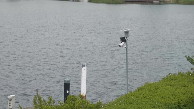 Lakeside security camera poles beside calm water with green shoreline and overcast light