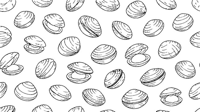 Detailed black and white clam shell illustrations.