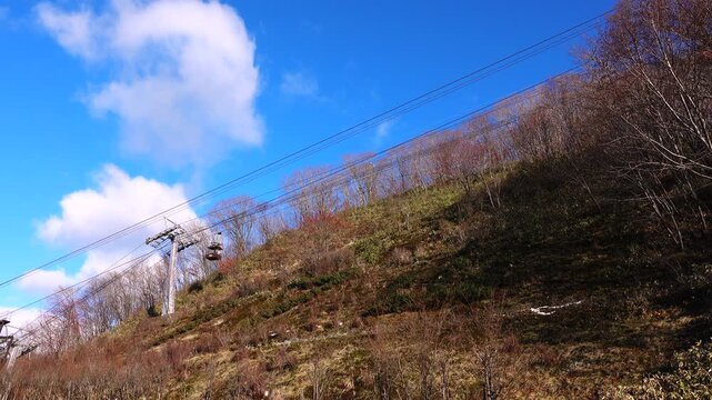 のぼりべつクマ牧場の空飛ぶ鮭トバ　とば号