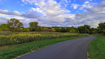 Naklejka premium Running in the park on a beautiful summer evening. Credit Meadows. Mississauga, ON, Canada