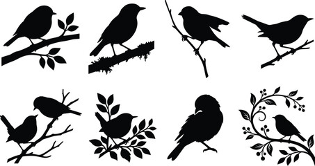 Fototapeta premium Songbird Silhouette Collection on Branches with Decorative Nature Elements