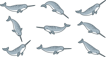 Cute narwhal whale vector illustration set swimming in different poses isolated on white background for marine animal wildlife design © Rukhsana