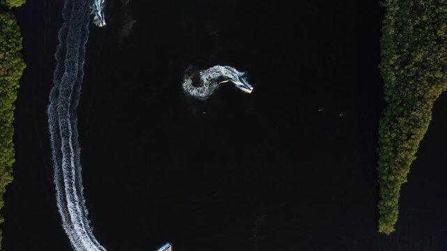 Multiple motorboats carve bright white wakes and circles across the dark Braden River framed by green mangrove shoreline.