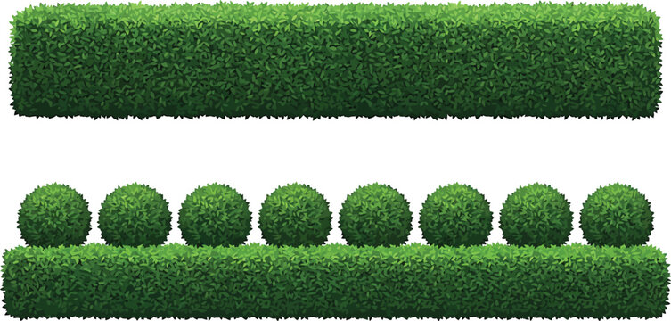 Green garden hedge and topiary bush elements isolated on white background for landscape design vector illustration