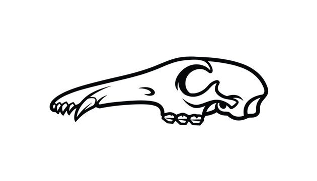 Line art illustration of a canine or wolf skull from the side view isolated on a clean solid white background vector.