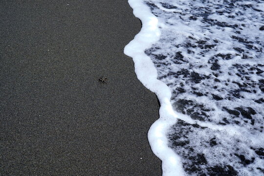 黒砂浜に白い波打ち際が広がり、小さな蟹が砂に留まっている。荒々しい海と静かな砂の対比が印象的。