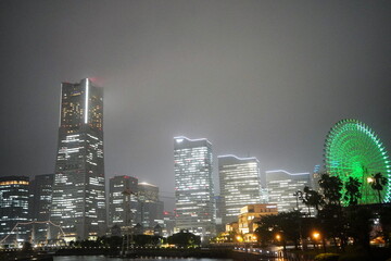 夜の都会風景、高層ビル群が灯りで輝き、右側に緑の観覧車が立ち、棕櫚の木々と水辺が広がる。 © BRUCE
