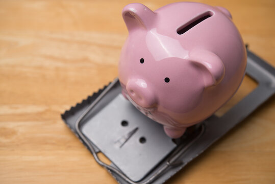 Piggy bank in rat trap on wooden table. Financial scam or fraud, savings in danger, high interest rate loan, high risk investment, financial trap, untouchable savings, money literacy and so on concept