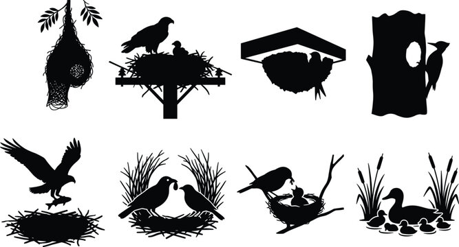 Bird nests black silhouettes vector collection featuring eagle swallow woodpecker ducklings and weaver bird habitats isolated on white background