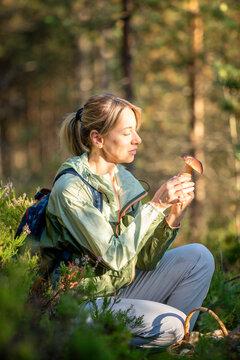 Smiling woman mushroomer forager found fresh edible boletus mushrooms in autumn pine forest, happy female hiker on traditional fall porcini harvest in wild woods, autumn hobby and leisure activity.